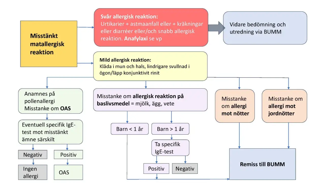 Flödesschema för misstänkt matallergisk reaktion, inklusive symtom och utredning. Kan vara relevant vid allergi mot katt.