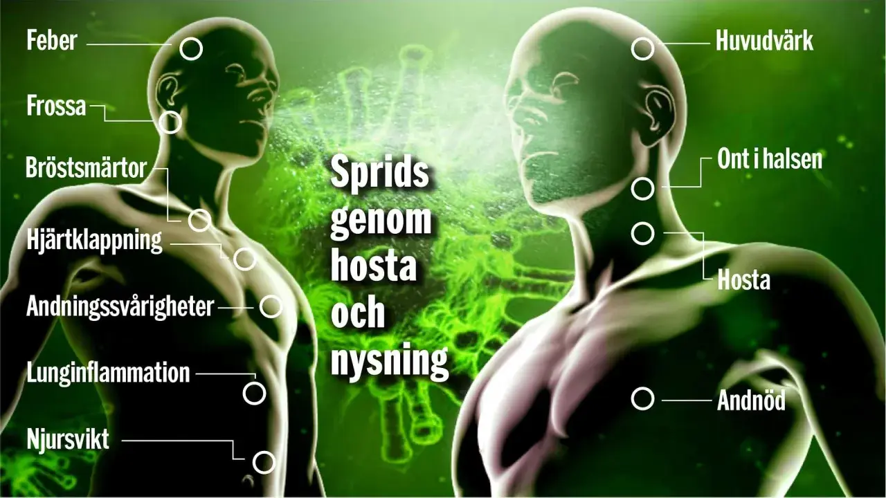 Två män visar symtom som feber, hosta och andningssvårigheter. Sprids genom hosta och nysning.