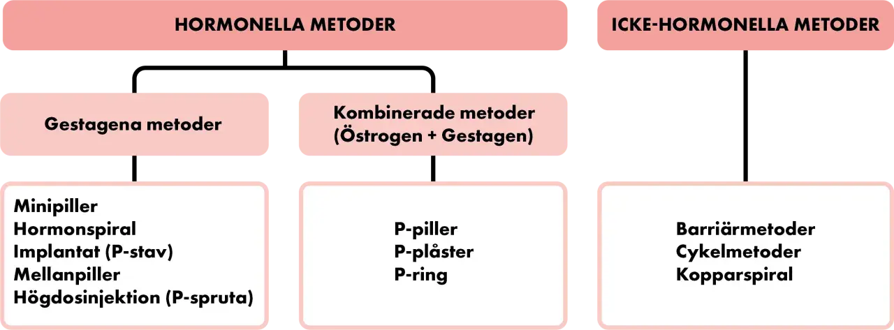Schema över preventivmedel kvinnor: hormonella metoder (gestagena, kombinerade) och icke-hormonella metoder (barriär, cykel, kopparspiral).