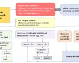 Flödesschema för misstänkt matallergisk reaktion, inklusive symtom och utredning. Kan vara relevant vid allergi mot katt.