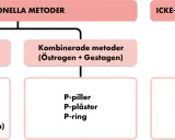 Schema över preventivmedel kvinnor: hormonella metoder (gestagena, kombinerade) och icke-hormonella metoder (barriär, cykel, kopparspiral).