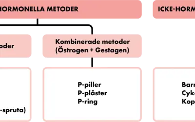 Schema över preventivmedel kvinnor: hormonella metoder (gestagena, kombinerade) och icke-hormonella metoder (barriär, cykel, kopparspiral).