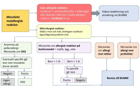 Flödesschema för misstänkt matallergisk reaktion, inklusive symtom och utredning. Kan vara relevant vid allergi mot katt.