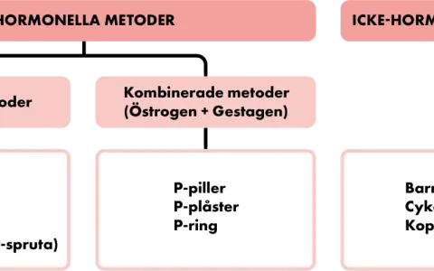 Schema över preventivmedel kvinnor: hormonella metoder (gestagena, kombinerade) och icke-hormonella metoder (barriär, cykel, kopparspiral).