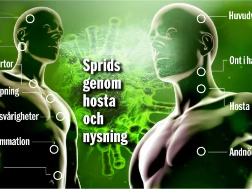 Två män visar symtom som feber, hosta och andningssvårigheter. Sprids genom hosta och nysning.