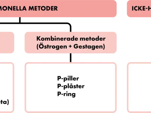 Schema över preventivmedel kvinnor: hormonella metoder (gestagena, kombinerade) och icke-hormonella metoder (barriär, cykel, kopparspiral).