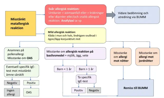 Flödesschema för misstänkt matallergisk reaktion, inklusive symtom och utredning. Kan vara relevant vid allergi mot katt.