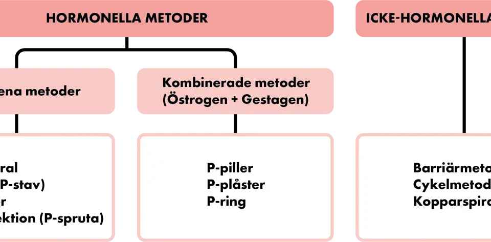 Schema över preventivmedel kvinnor: hormonella metoder (gestagena, kombinerade) och icke-hormonella metoder (barriär, cykel, kopparspiral).