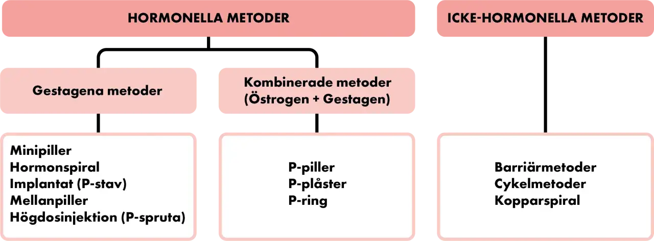 Schema över preventivmedel kvinnor: hormonella metoder (gestagena, kombinerade) och icke-hormonella metoder (barriär, cykel, kopparspiral).