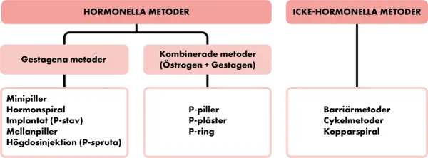 Schema över preventivmedel kvinnor: hormonella metoder (gestagena, kombinerade) och icke-hormonella metoder (barriär, cykel, kopparspiral).